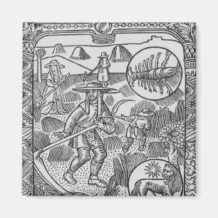 Imã Julho, ceifa, cancer