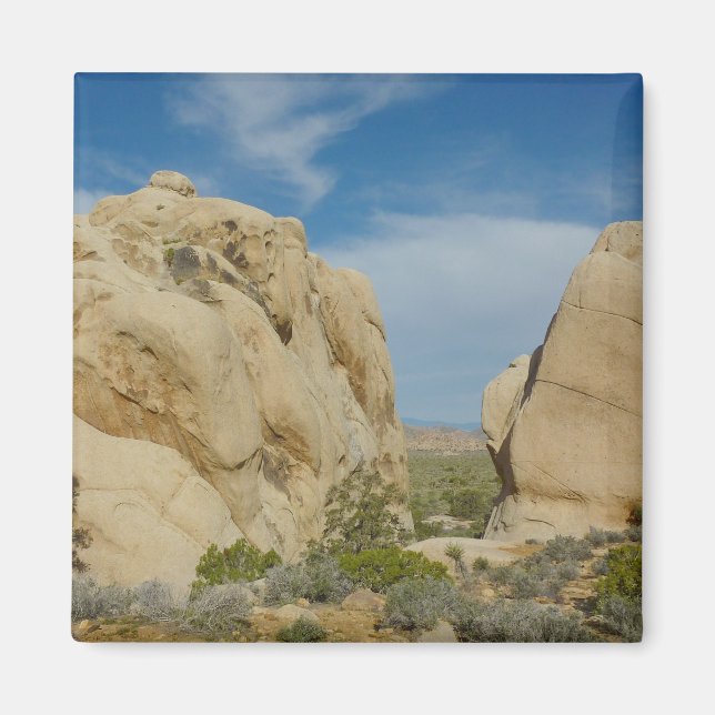 Imã Jumbo Rocks no Parque Nacional Joshua Tree (Frente)
