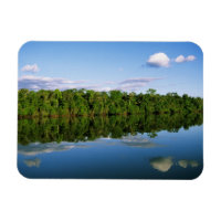 Juruena, Brasil. Margem florestada de rio refletid