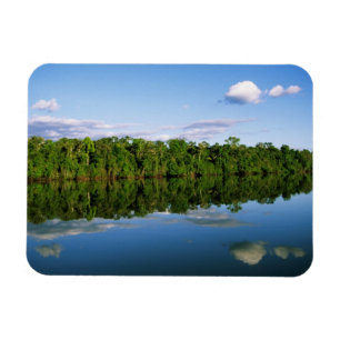 Ímã Juruena, Brasil. Margem florestada de rio refletid