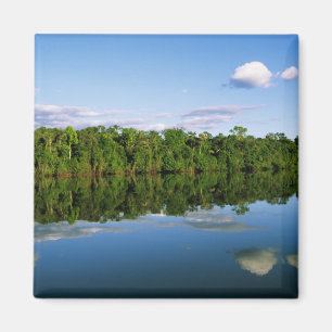 Imã Juruena, Brasil. Margem florestal do rio refletida