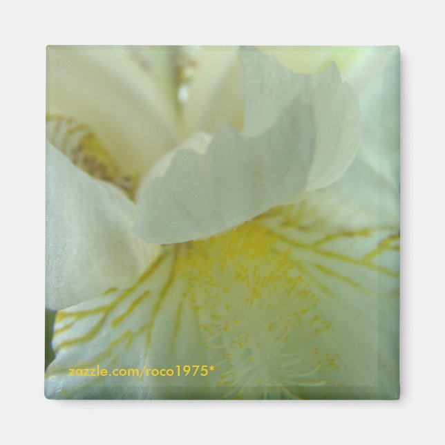 Imã juste de tout (Frente)