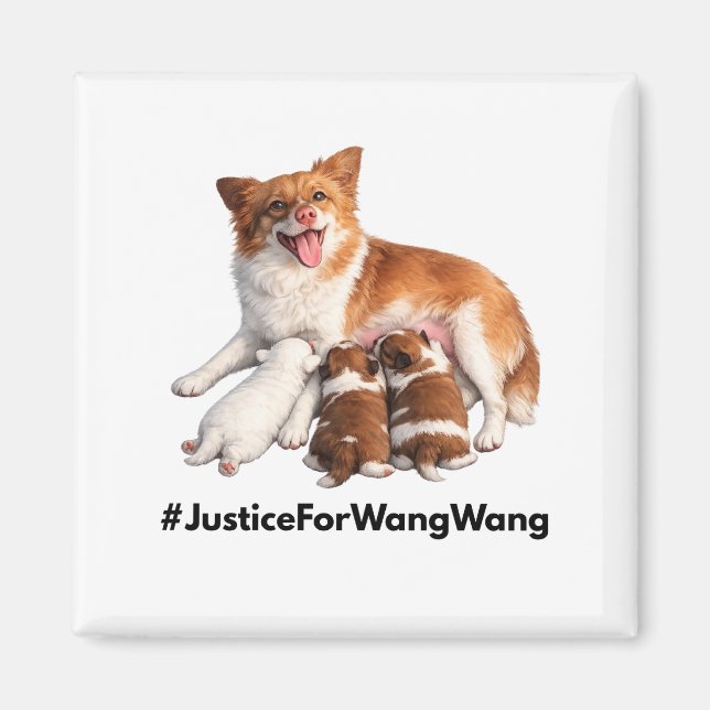 Imã Justice for Wang Wang (Frente)
