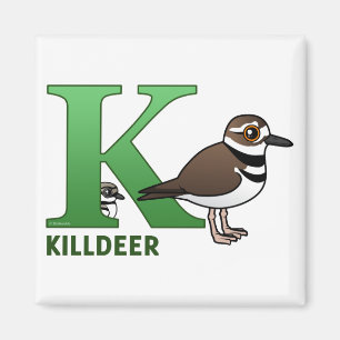 Imã K é para o Killdeer