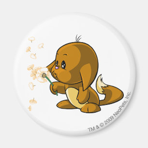 Imã Kacheek Brown