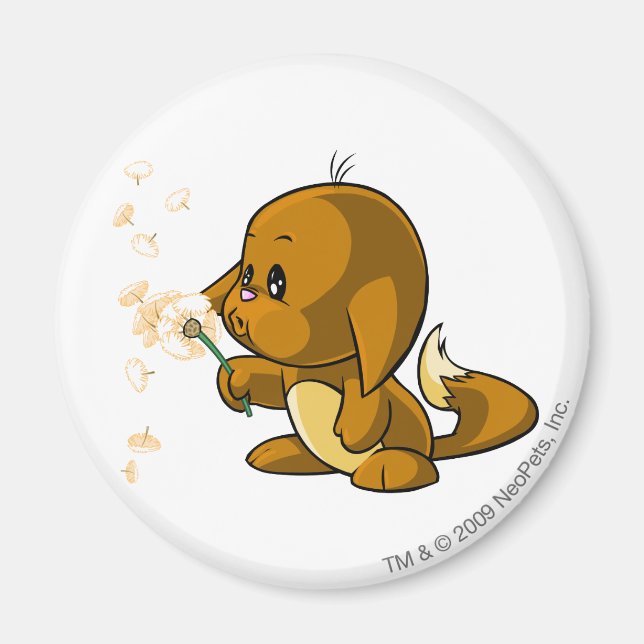 Imã Kacheek Brown (Frente)