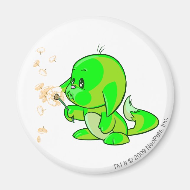 Imã Kacheek Glowek (Frente)