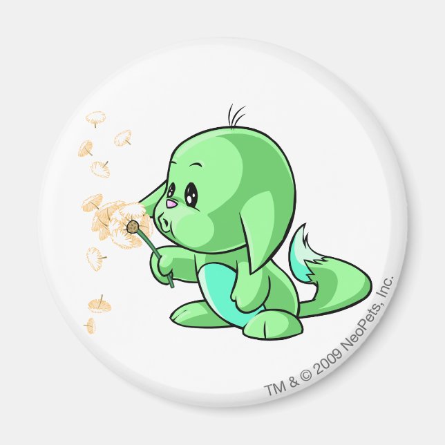 Imã Kacheek Green (Frente)
