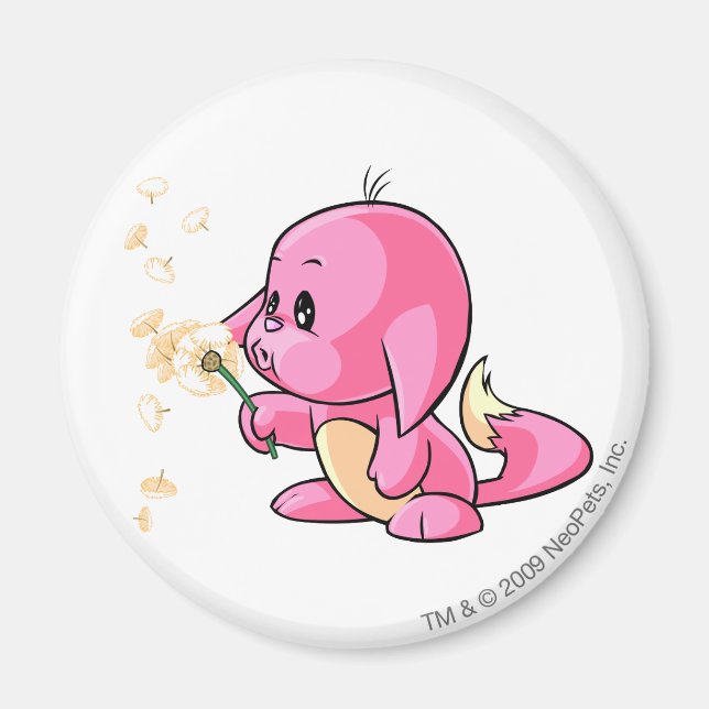 Imã Kacheek Pink (Frente)