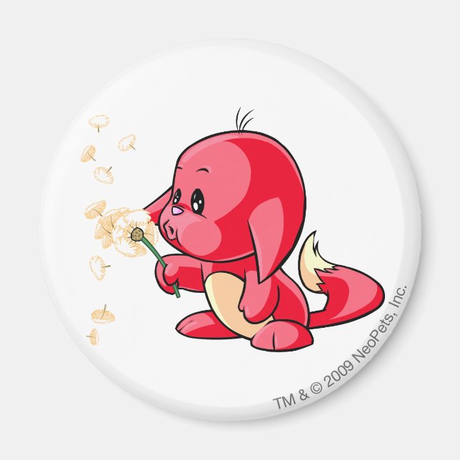 Imã Kacheek Red (Frente)