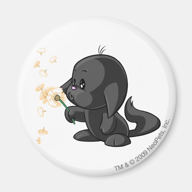 Imã Kacheek Shadow (Frente)