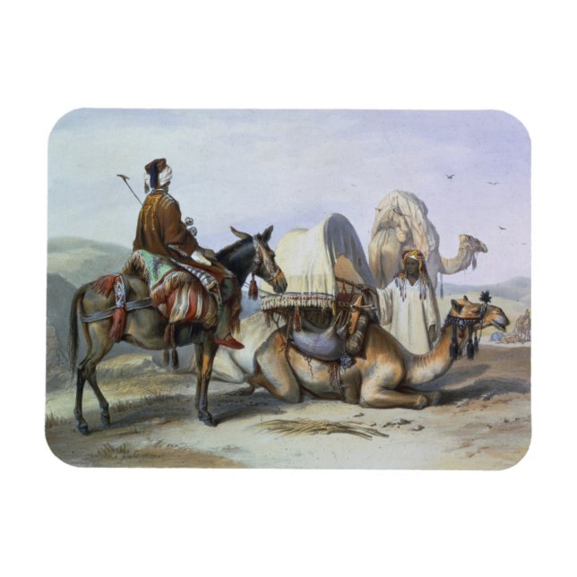 Ímã Kafila com um Camel Bearing a Hodesh, ilustração (Horizontal)