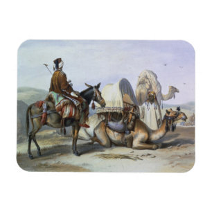 Ímã Kafila com um camelo que carrega um Hodesh,