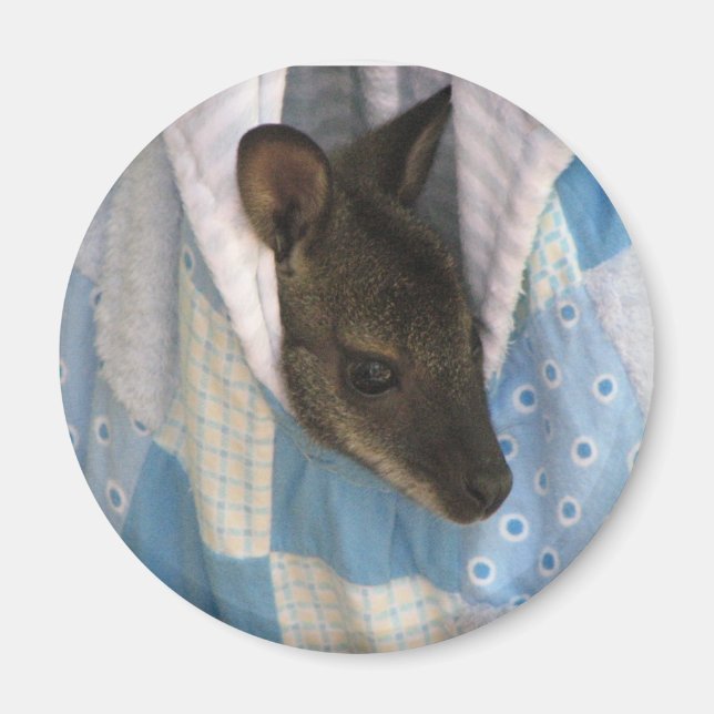 Imã Kangaroo (Frente)