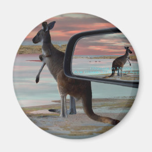 Imã Kangaroo Sea Respira Arte De Ilusão,