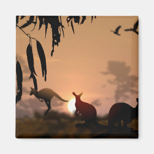 Imã Kangaroos