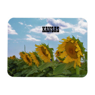 Ímã Kansas Sunflower