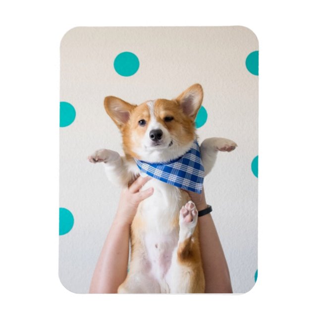 ímã karate corgi (Vertical)