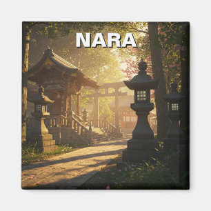 Imã Kasuga Taisha Nara Japan Viagem