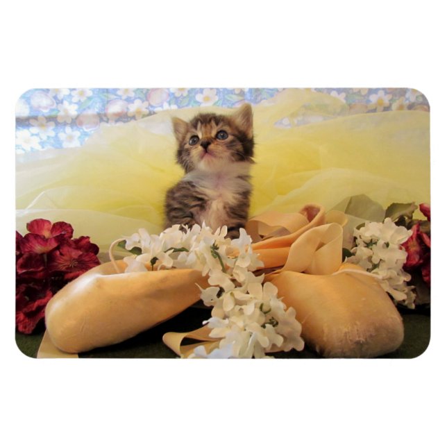 Ímã Kate, o Kitten Ballerina - Magneta Cat (Horizontal)