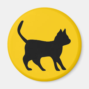Imã Kater Schwarzer