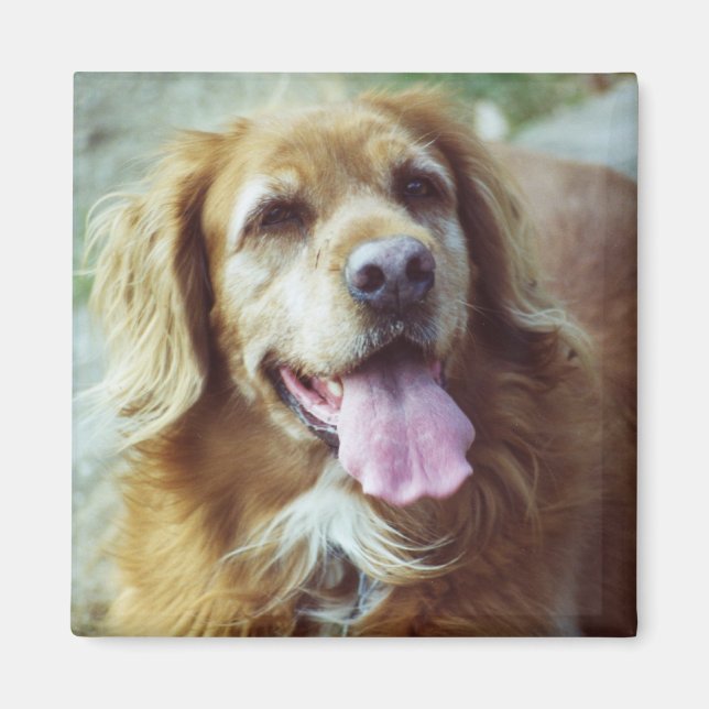 Imã Katie Old (Frente)