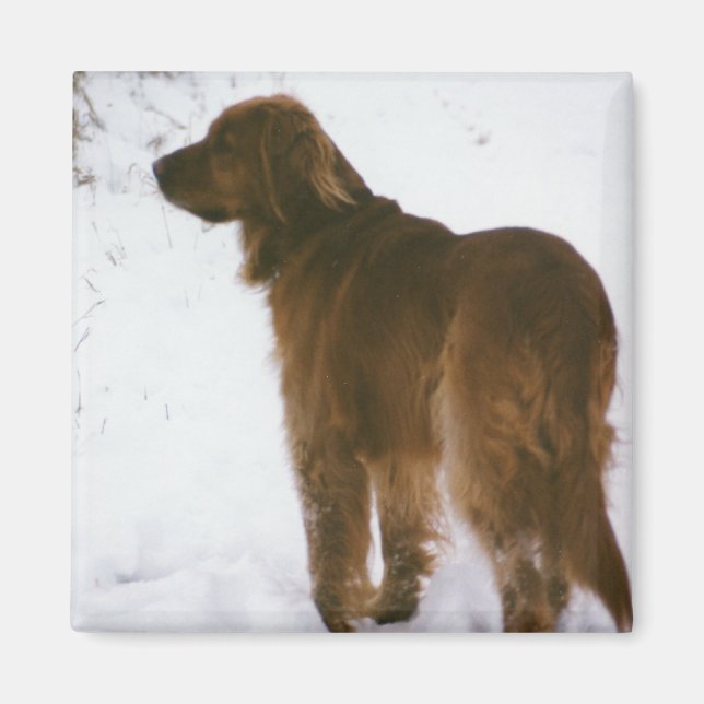 Imã Katie Outside (Frente)