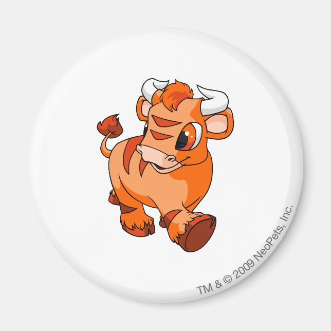 Imã Kau Orange (Frente)