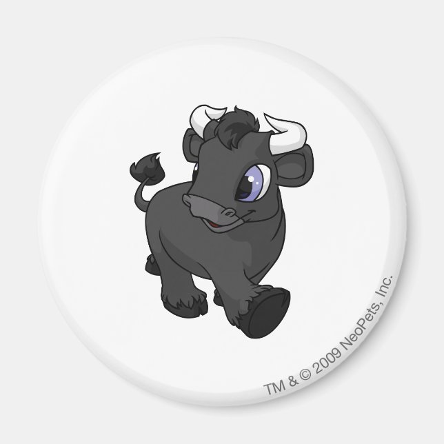 Imã Kau Shadow (Frente)