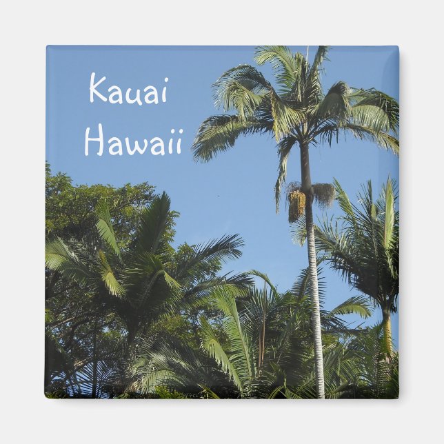 Imã Kauai Havaí (Frente)