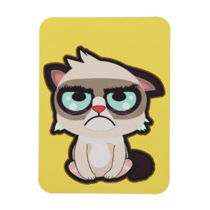 Ímã Kawaii, o divertimento e o gato grimmy engraçado