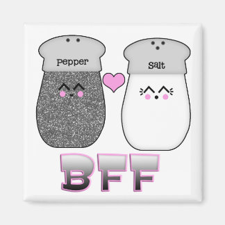 Imã Kawaii Salt n Pepper BFF