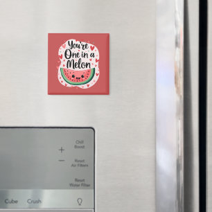 Imã Kawaii "Você é um em um melão" Cóta Melancia Pun