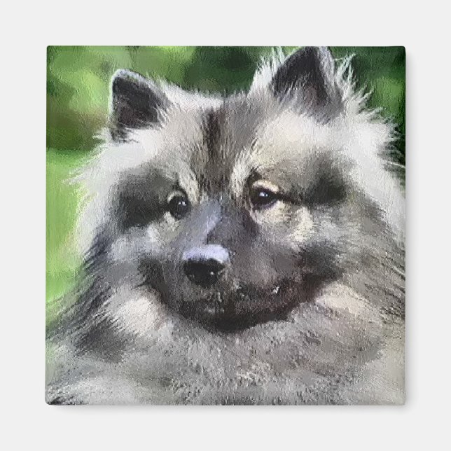 Imã Keeshond Art Gifts (Frente)