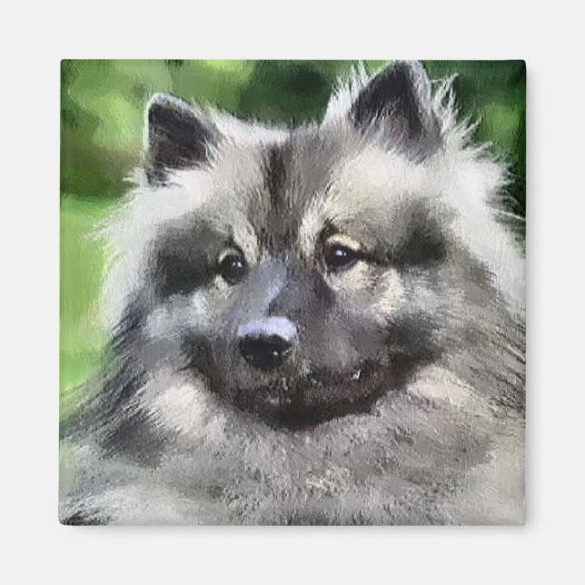 Imã Keeshond Art Gifts (Frente)