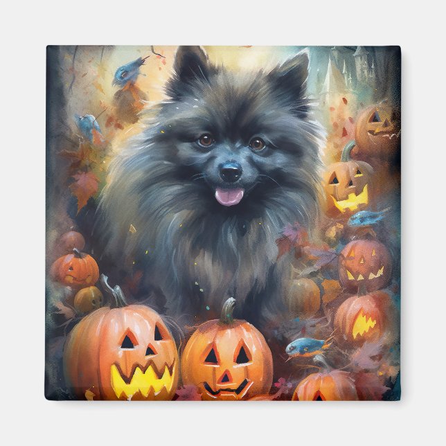 Imã Keeshond de Halloween com Abóboras Assustadoras (Frente)