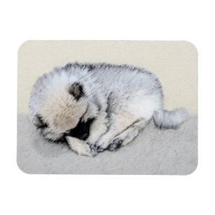 Ímã Keeshond Dormindo Puppy Pintura Original