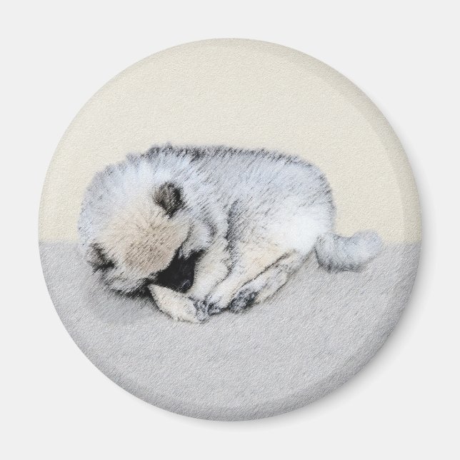 Imã Keeshond Dormindo Puppy Pintura Original (Frente)