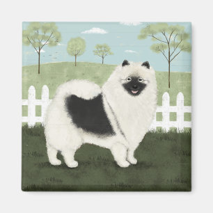 Imã Keeshond rural