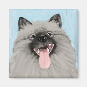 Imã Keeshond sorridente