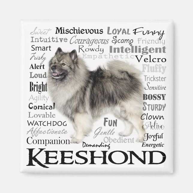 Imã Keeshond Traits Magnet (Frente)