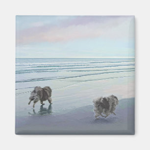 Imã Keeshonds na Arte de Cão de Pintura na costa