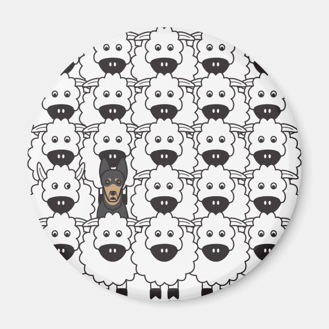 Imã Kelpie australiano em ovelha (Frente)