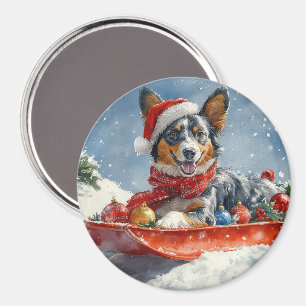 Imã Kelpie australiano em Sledge Deixe-o nevar Natal