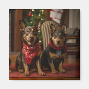 Imã Kelpie Australiano junto à Lareira Natal