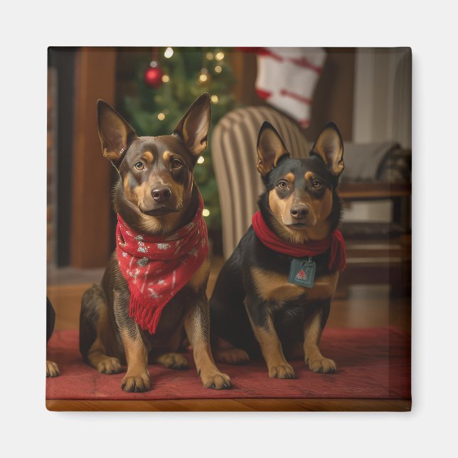 Imã Kelpie Australiano junto à Lareira Natal (Frente)