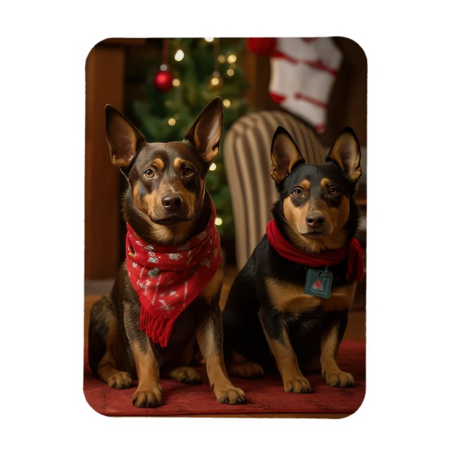 Ímã Kelpie Australiano junto à Lareira Natal (Vertical)