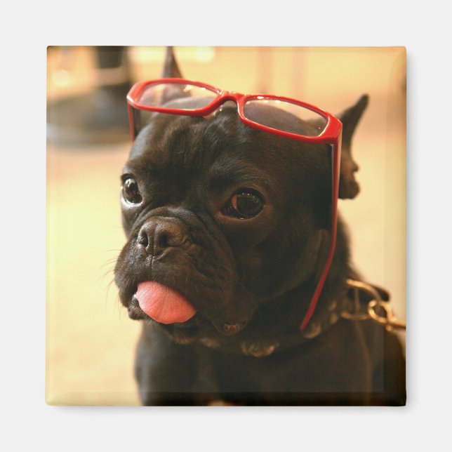 Imã Kenken Magnets A (Frente)