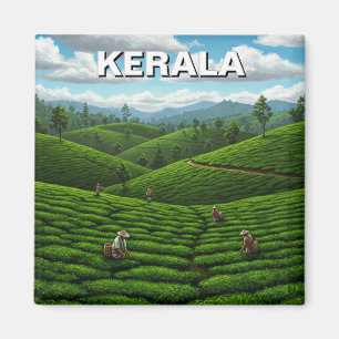Imã Kerala India Tea Plantation