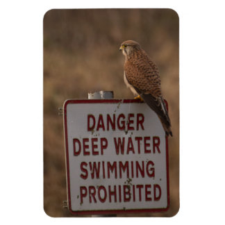 Ímã Kestrel